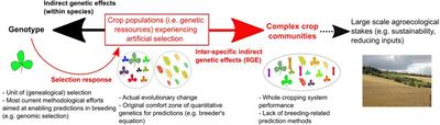 Linking quantitative genetics with community-level performance: Are there operational models for plant breeding?